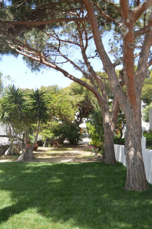 Secret Garden Apartments Mykonos Town エクステリア 写真