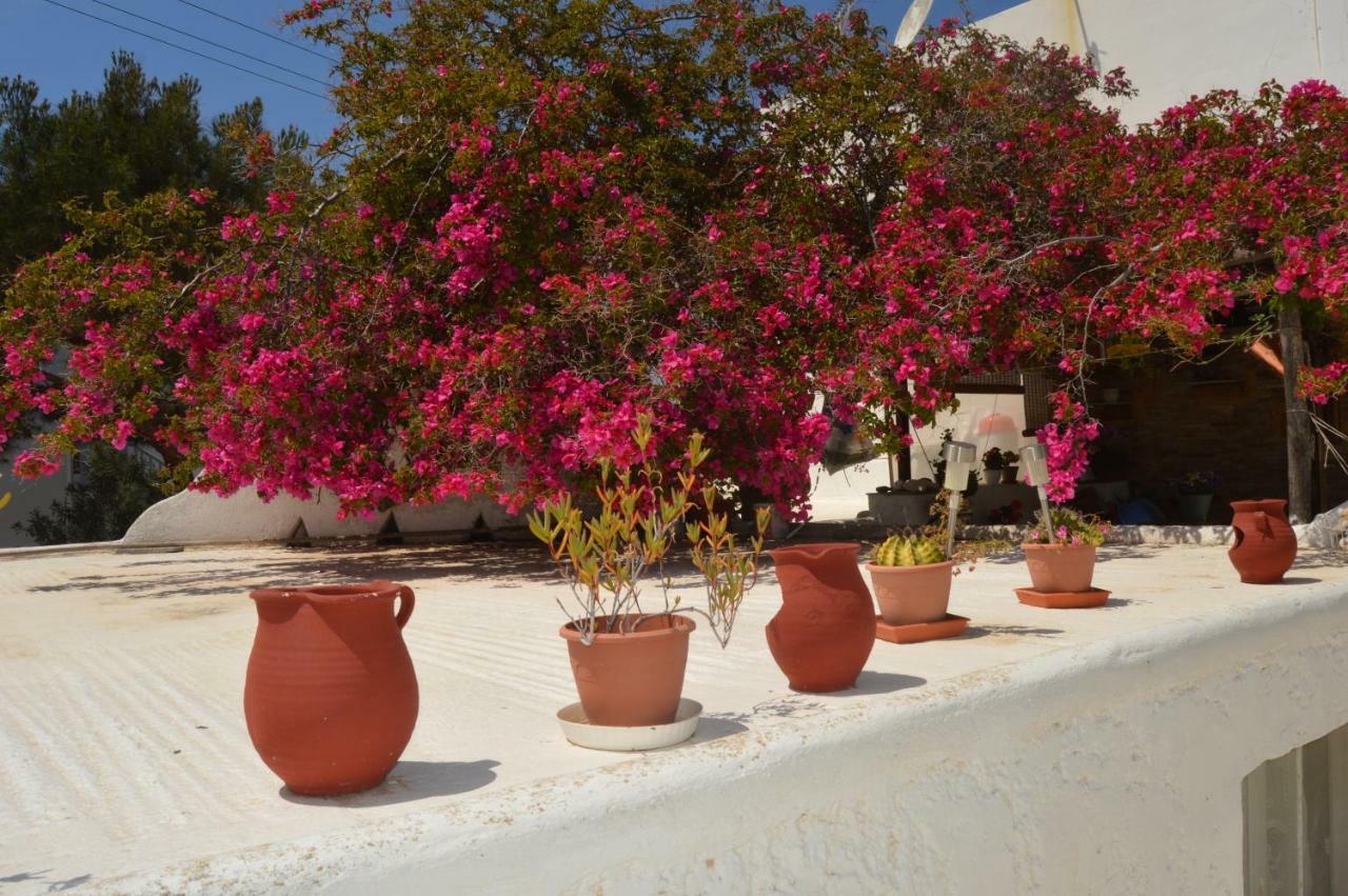 Secret Garden Apartments Mykonos Town エクステリア 写真